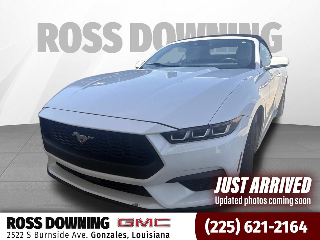 2024 Ford Mustang Ecoboost